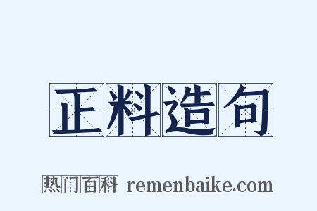 正料造句是什么意思的图片